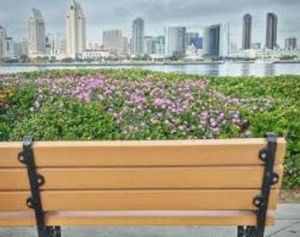 a woman sitting on a park bench