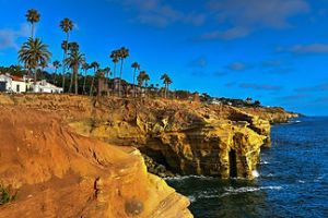 a group of palm trees on a rocky hill
