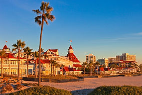 a group of palm trees with a building in the background