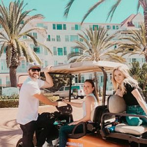 a couple of people that are standing in front of a palm tree