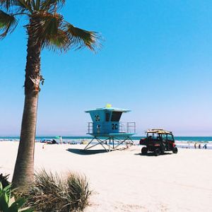 a boat sitting on top of a sandy beach next to a palm tree