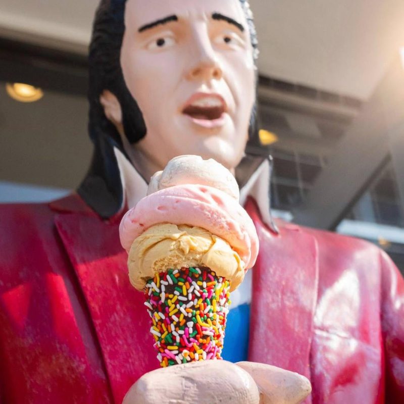 a person wearing a costume