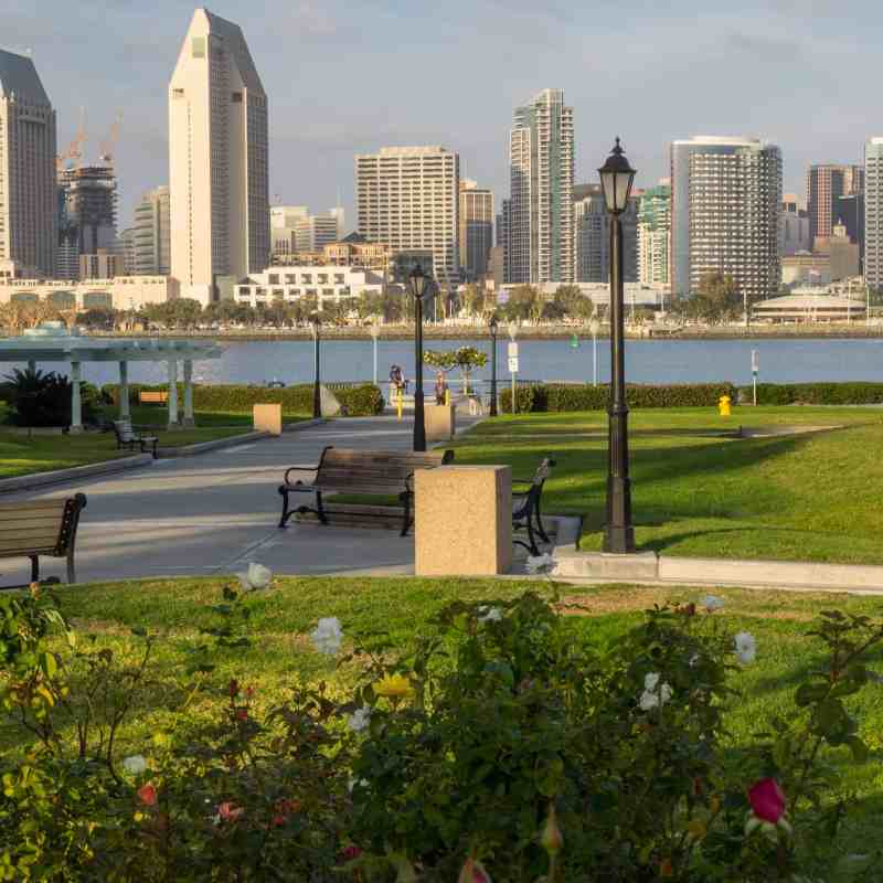 a tall building in a city park