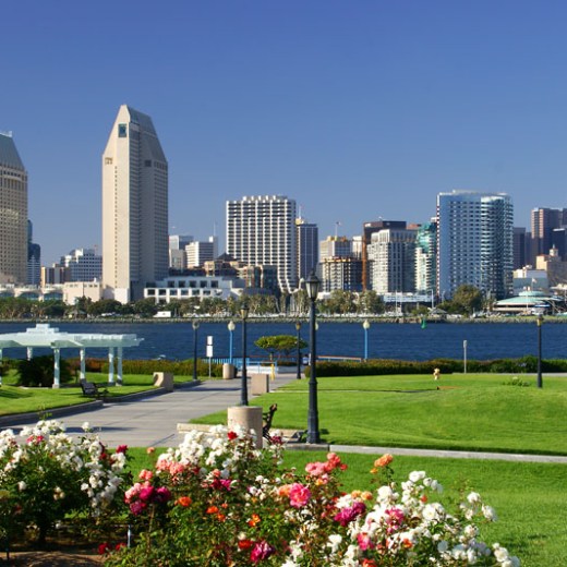 a tall building in a city park