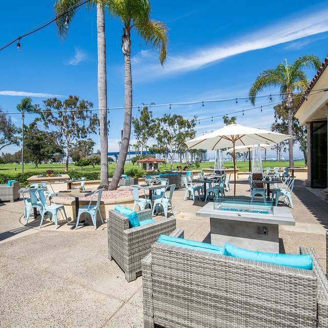 a group of palm trees with a building in the background